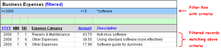 Image of a filtered table for tracking business expenses.
